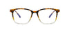 Non-Prescription CJ8838-Glasses for Women and Men-Lenzzy Optical